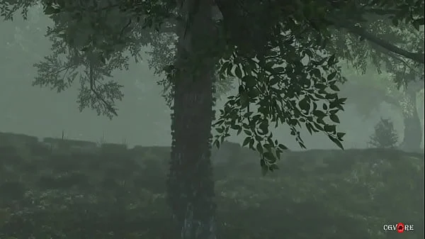 Misterious forest animation. Free version