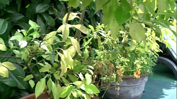 Housewife fucks two big fat dicks