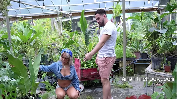 Free Use By The Ficus