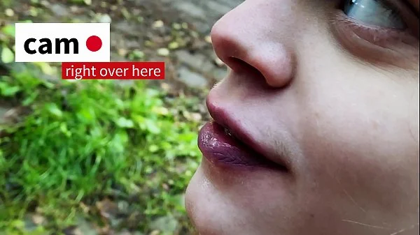 Get lost in Wonderlands