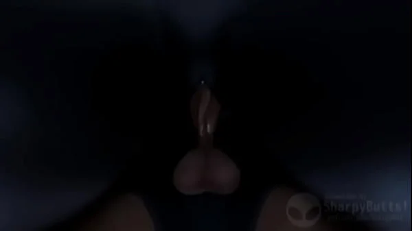 Hornet Hollow Knight Silksong Hentai Compilation