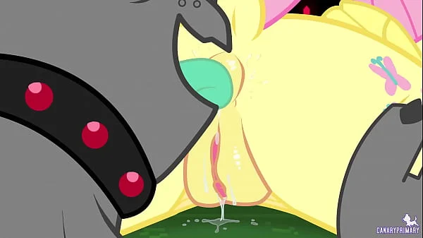 CanaryPrimary - Non-Aggression Pact