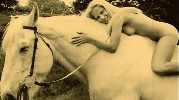 Vintage Taboo, Pussy & Pooch