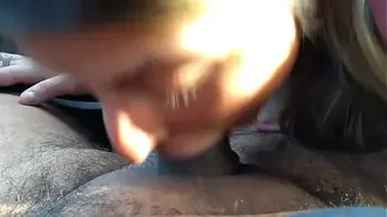 Great Car Blow Swallow