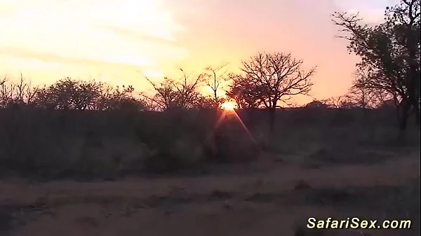 real african safari groupsex orgy in nature