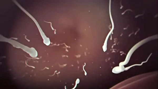 B is for Black Breeding - Porno Music Compilation