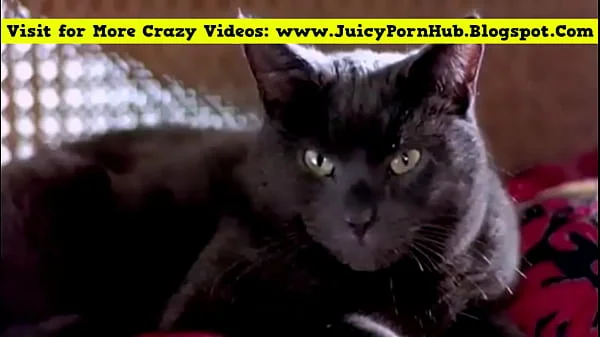 Best Horny Movie Scenes Ever.