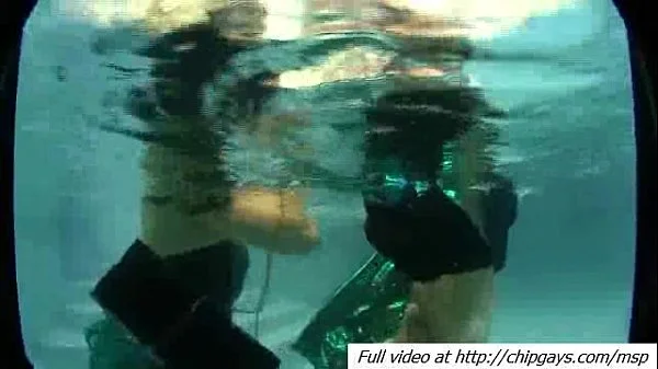 Booby babes pet dudes body