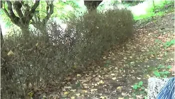 Outdoor Anal Fuck And Creampie For Pamela