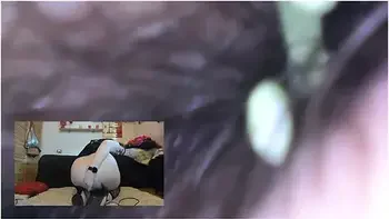 Dominated Shrunken Smells All My Farts - Hardcore Giantess Vore Video