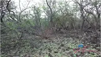 Alexia Anders On Vacation Sucking Cock In The Car And Taking A Piss In Public Pov