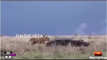 Happy New Year 2021 !!!