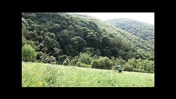 Big Boobs Fat Milf Fucking in Forest Pussy Outdoor