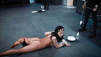 Olive Glass - Wonder Olive One Dumb Woman Coordinates (1080)