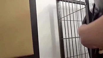 Breath Control Of Female Pet In Cage