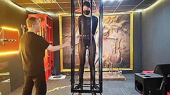 Yr On Wooden Horse And Metal Cage