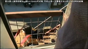 LVD380-XTYVZKEBHP628131483