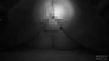 IGG532-ZWEXEVEWYH943743135