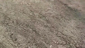 FuckMyIndianGF - Indian GF Sex Videos