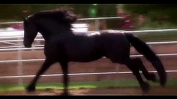 Reverse Cowgirl Sex With Dirty And From Skankery - Justice Young And Lexi Belle