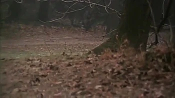 Simona Valli, Attila Schuster And Christophe Clark In Hot Horny Vintage Slut Taking A Big Cock In The Ass