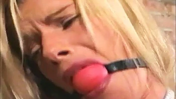 Blondie topless tied up: Blonde, Pornhub  Bondage Porn
