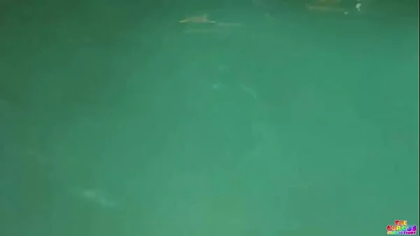 The pool had to be cleaned