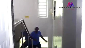 Naked: Blowjob, Doggy  Missonary Porn