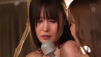 492-wguuhy-ouhsgy-poo-ban