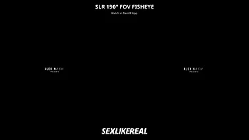 Euro Trip: Morning Special