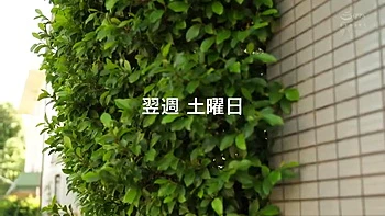 337-wguuhy-ouhsgy-poo-aaa