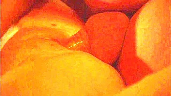 Hardcore For Lovers Watch Them All On