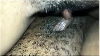 Ebony Lesbians Tribbing