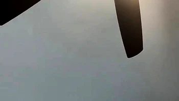 Amateur chick and her blowjob talent