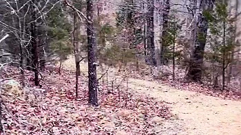 Natural Amateur blowjob outdoors exposed