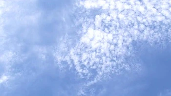 x1xF83E100656A2F42727