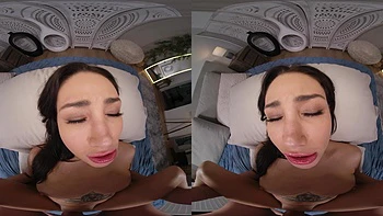 One Wild Night in Vegas