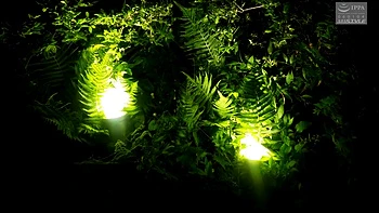 Stepmother Helps Stepson In Sexual Needs