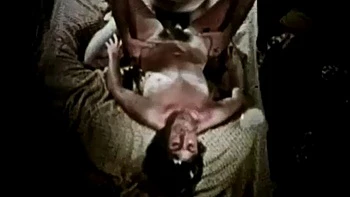 The Rose And The Bee 1971 ft. Andy Bellamy, Chlorine Stillwater, Billy Lane  Keith Erickson: Blowjob, Cowgirl  Missonary Porn