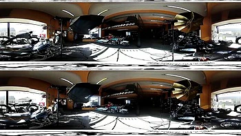 Bravo Models - 360 action