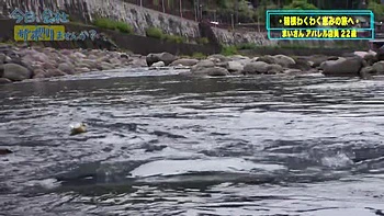 0010735_巨乳 フェラチオ 可愛いなどが含まれている