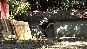 x1x49E4590E30B7B3601D