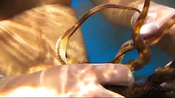 Date: Amateur, Fansly  Homemade Porn