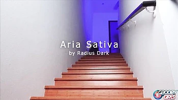 Grooby Girls featuring Aria Sativa's hd xxx