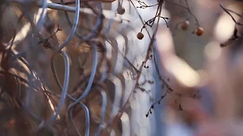 0011015_ベロチュー 寝取り 接吻などが含まれている