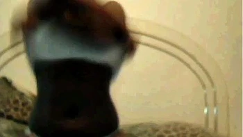 Fat Black Webcam Slut: Amateur, Bongacams  Solo Porn