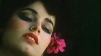 Vintage 406: Blowjob, Doggy  Missonary Porn