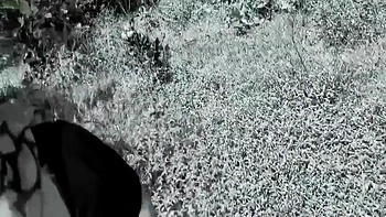 Taking Me To The Forest, She Said, Fuck Me, Rajaji, I Am Feeling Very