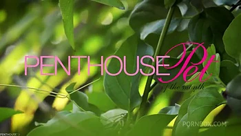 Pet of the Month May 2020