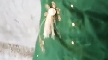 Telegu Hot Girlfriend Facking Her Bangali Boyfriend For Construction Site